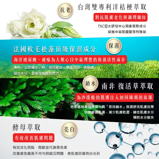 【BELDORA 蓓朵娜】全時保濕修護凝霜EX3入組(瀑布霜30gx3 小姐不熙娣節目推薦)