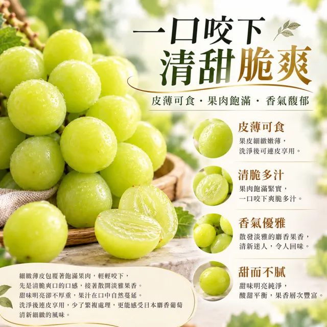 【WANG 蔬果】日本長野/山梨縣溫室麝香葡萄1房禮盒x4盒(350-400g/盒)