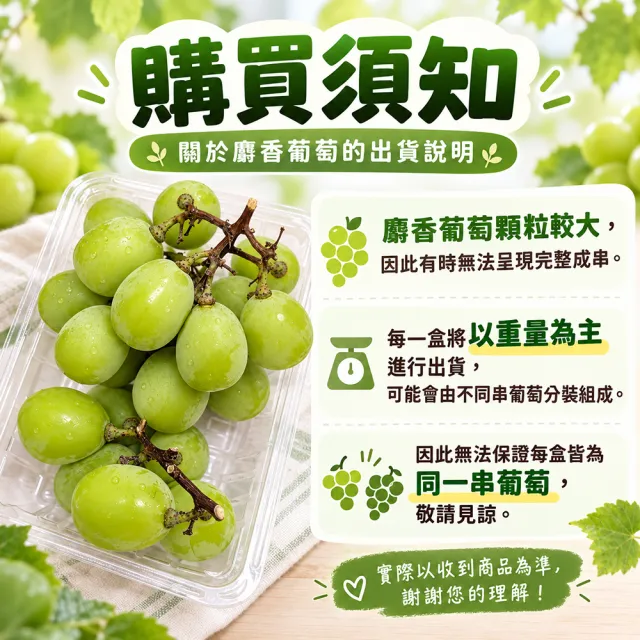 【WANG 蔬果】日本長野/山梨縣溫室麝香葡萄1房禮盒x1盒(350-400g/盤)
