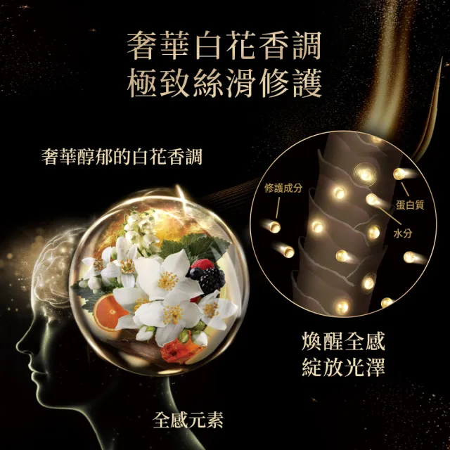 【SHISEIDO PROFESSIONAL 資生堂專業美髮】時韻黑妍洗髮露500ml(頭皮護理/髮質修護)