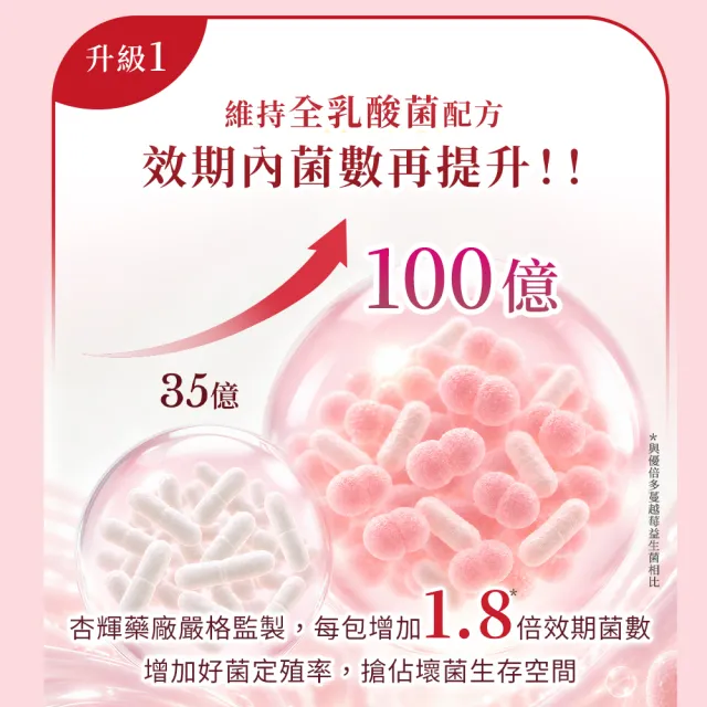【YouBest 優倍多】五效蔓越莓益生菌5入(共150包-順暢益生菌 杏輝獨家菌株LLVG 保證菌數100億