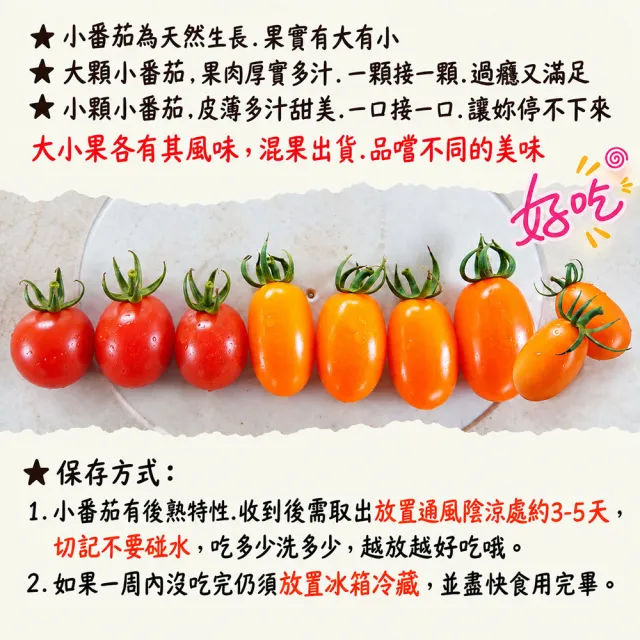 【初品果】美濃達哥雙色橙蜜香小番茄3斤x2盒(紅蜜+橙蜜金瑩_產銷履歷_送禮/禮盒/水果禮盒)