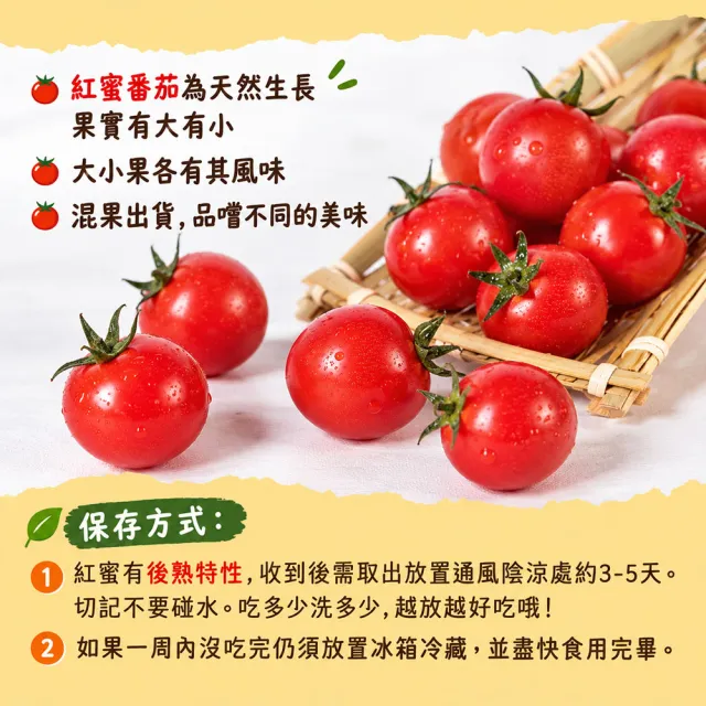 【初品果】美濃達哥紅蜜小番茄3斤x1盒(產銷履歷_營養滿滿_送禮/禮盒/水果禮盒)