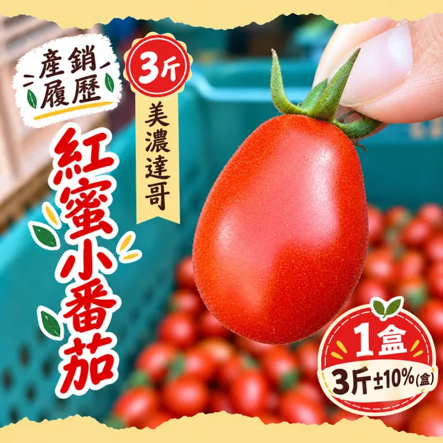 【初品果】美濃達哥紅蜜小番茄3斤x1盒(產銷履歷_營養滿滿_送禮/禮盒/水果禮盒)