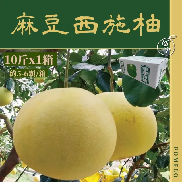 e果園-台南麻豆特選-西施柚10台斤/箱(約5-6大顆/箱)