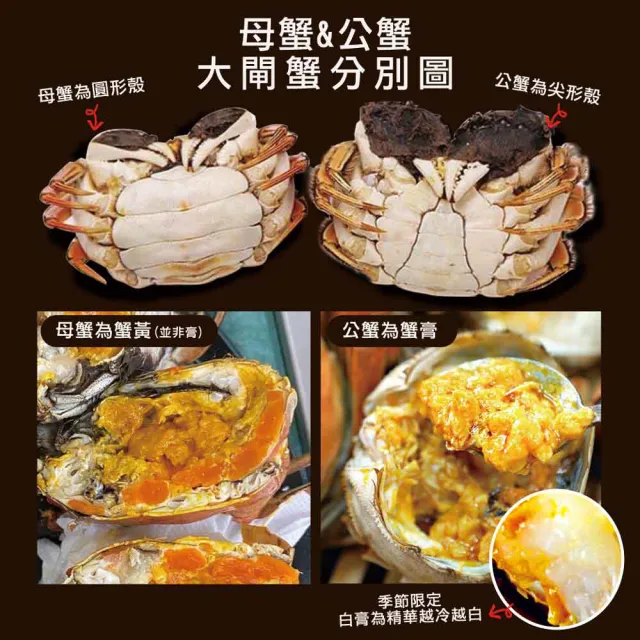 【築地一番鮮】母4兩上大閘蟹5隻/贈工具組/江南大閘蟹