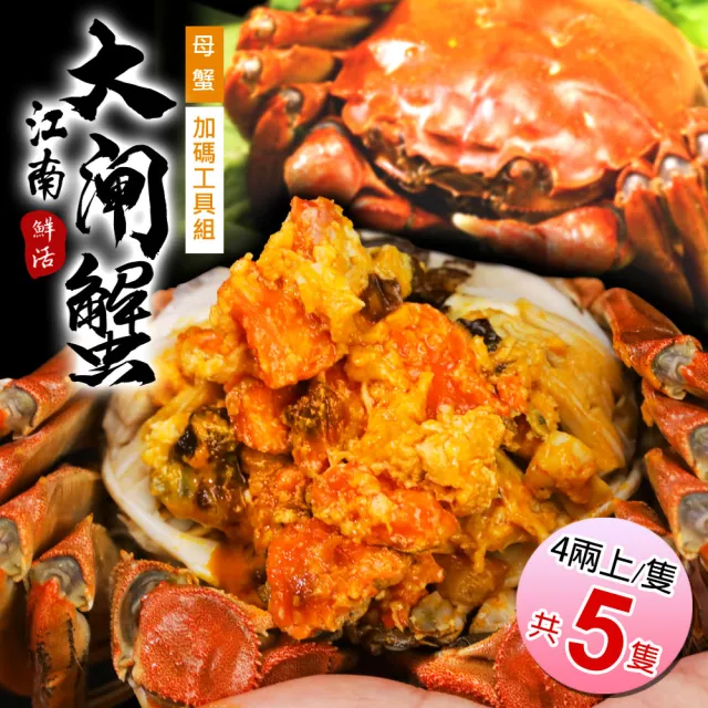 【築地一番鮮】母4兩上大閘蟹5隻/贈工具組/江南大閘蟹