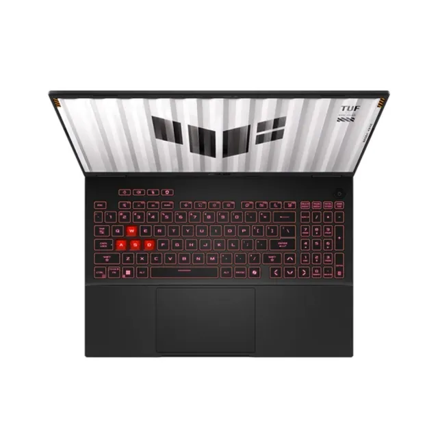 【ASUS 華碩】特仕版 16吋電競筆電(FA608PMR-0041A8940HX/R9-8940HX/16G+16G/512G+2TB SSD/RTX5060/Win11)