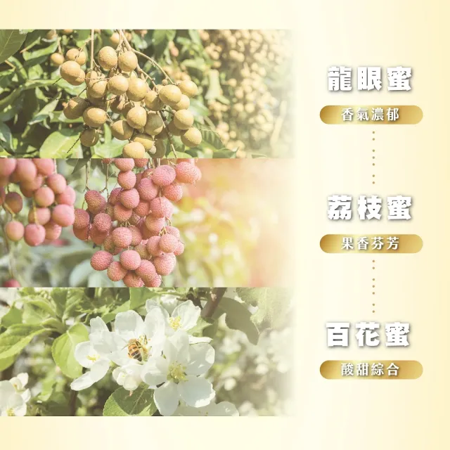 【真豐巢】100%台灣純蜂蜜3000g/桶 任選(龍眼/荔枝/百花)
