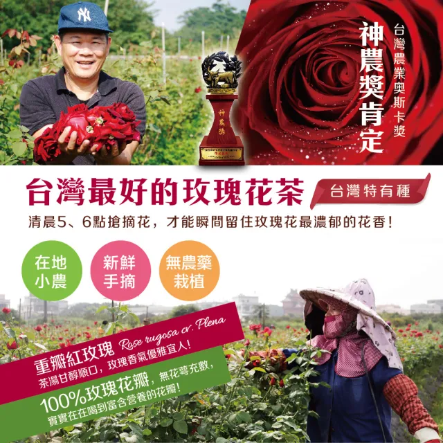 【慢悠仙】神農獎玫瑰花茶 20g 袋裝(花瓣/台灣/可沖40壺/SGS無農藥/無咖啡因無糖/花草茶養生茶)