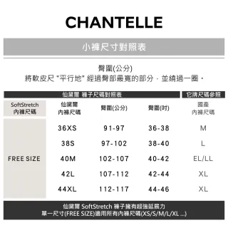 【Chantelle 仙黛爾】Champs Elysees.專櫃 漸層蕾絲 性感 無痕 四角 丁字女內褲 綠特.26040_B13(刺繡蕾絲)