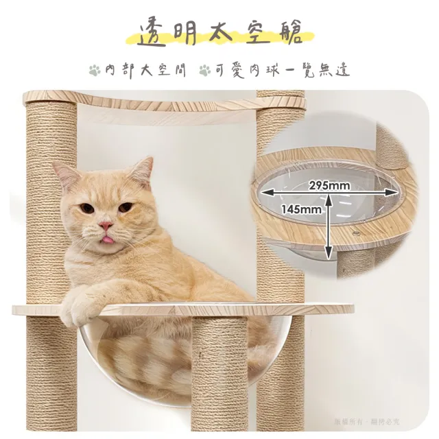 【貓本屋】太空艙圓形實木貓跳台-附劍麻球(台灣製)