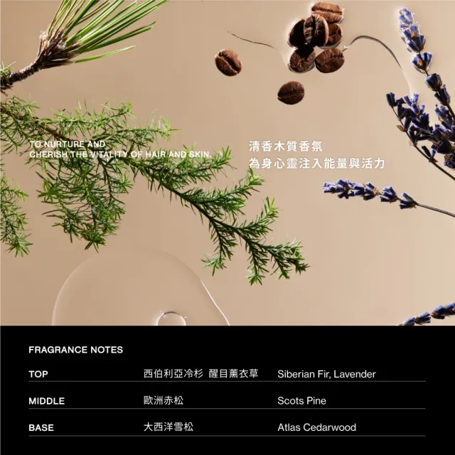 【SAWAA】靜海｜賦活胜肽洗髮露500ml 2入組