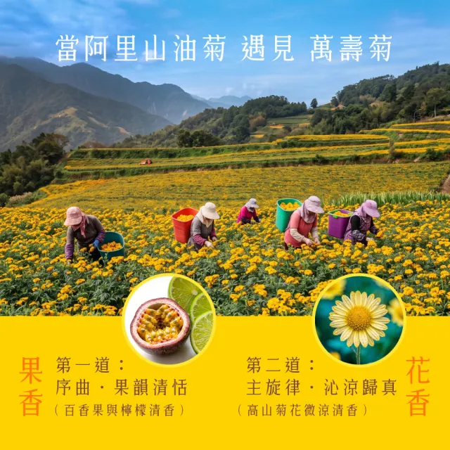 【慢悠仙】阿里山油菊花茶包1.5gX10入X 3袋(三角茶包/台灣/可沖20壺/無農藥種植/無咖啡因無糖/養生花草茶)