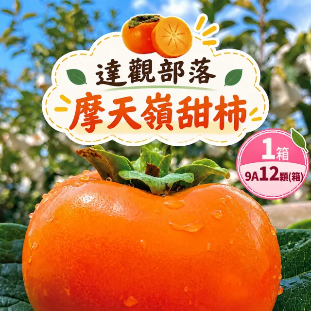 【初品果】達觀部落余大哥9A高山甜柿特大顆12顆禮盒x1箱(350g/顆 中秋禮盒_產地直送)