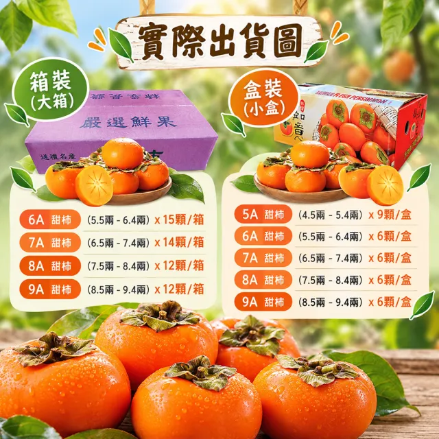 【初品果】達觀部落余大哥8A高山甜柿禮盒6顆x2盒(每顆300g±10%_年節禮盒_產地直送)