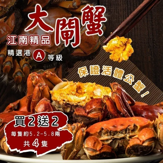 【三頓飯】正宗港A等級江南精品大閘蟹(共4隻_5.2-5.8兩/隻) 保證活蟹直送