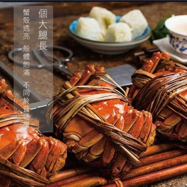 【三頓飯】正宗港A等級江南精品大閘蟹(共8隻_5.2-5.8兩/隻) 保證活蟹直送