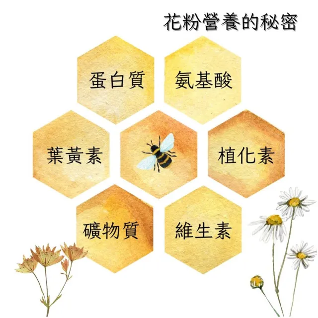【CHYUANFA 泉發蜂蜜】限量蒲鹽花粉150gX1入(HALAL清真認證)