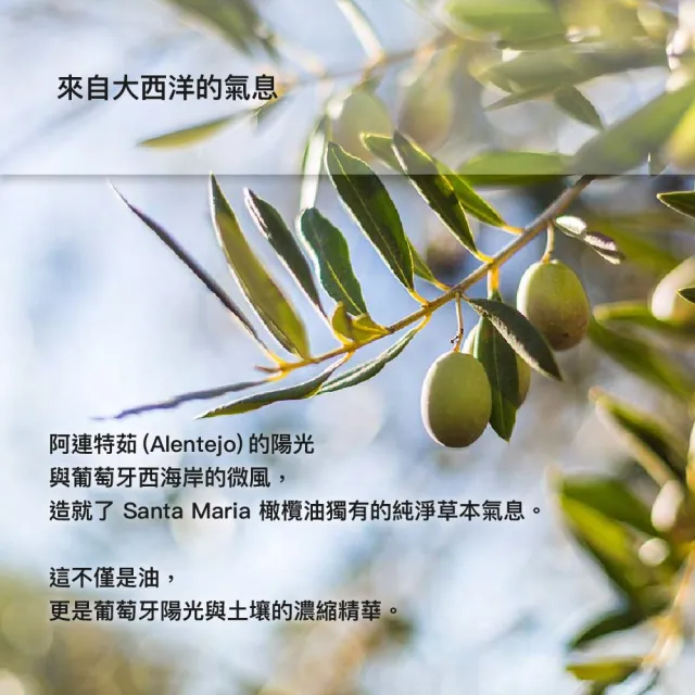 葡萄牙 Santa Maria 特級初榨橄欖油 1000ml (玻璃裝)