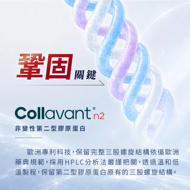 【寶齡富錦】寶固捷 非變性二型膠原蛋白+MSM 3入(共90顆/行動營養配方/訶子萃取)