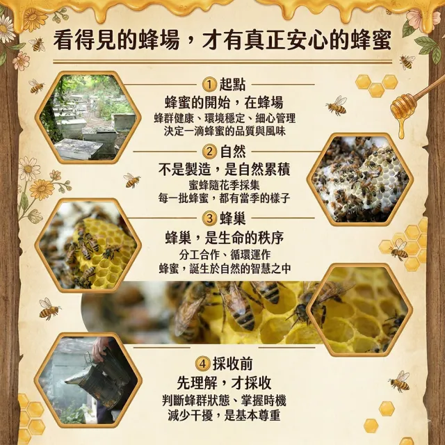 【CHYUANFA 泉發蜂蜜】特選野蜂蜜410gX3入 百花蜜 台灣百年品牌 100%無添加驗證