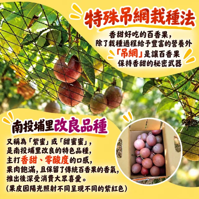 【初品果】南投埔里吊網百香果A級禮盒含箱5斤x4盒(產地直送/送禮/禮盒/水果禮盒)