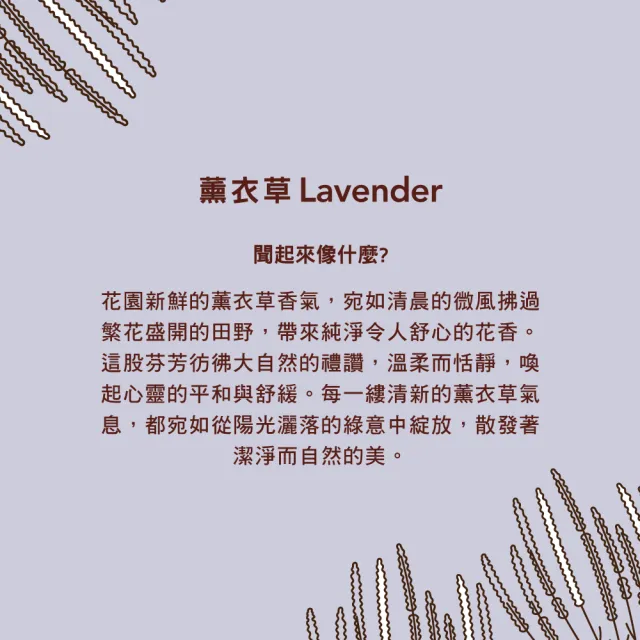 【Mrs.Meyers 梅耶夫人】薰衣草香氛洗手乳x2+護手霜x2 4入組(南法香氣 慢生活 溫柔陪伴)