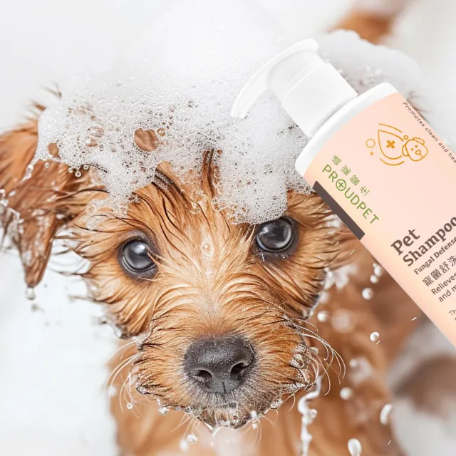 【PROUDPET 嬌寵醫生】寵黴舒洗毛精 貓犬專用 300ml(寵物洗毛精/犬貓皮膚保護/寵物清潔/貓狗洗澡)