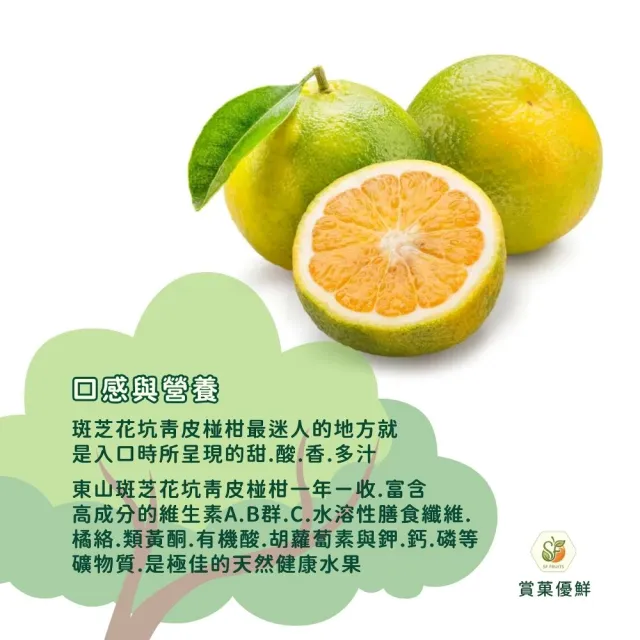 【賞菓優鮮】東山斑芝花坑青皮椪柑精美特大果禮盒2盒(18粒/10斤X2盒)(西拉雅風土印記_產地現採直送)