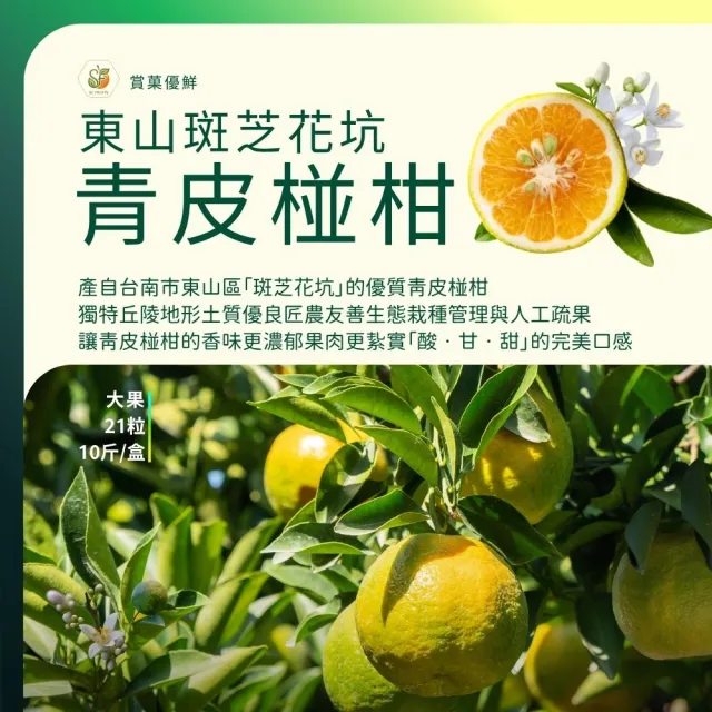 【賞菓優鮮】東山斑芝花坑青皮椪柑精美大果禮盒1盒(21粒/10斤)(西拉雅風土印記_產地現採直送)