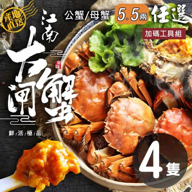 【優鮮配】5.5兩江南大閘蟹(公母任選)X4隻組/贈工具組