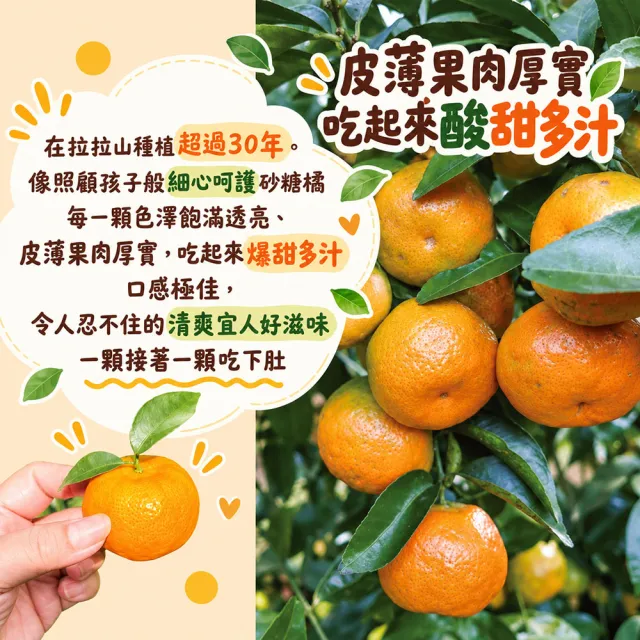 【初品果】拉拉山砂糖橘禮盒3斤x4盒(6-9公分/季節限定 產地直送 禮盒 柑橘/橘子/帝王柑/珍珠柑)