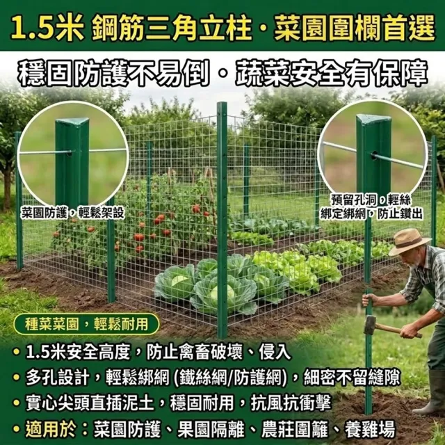 【poko】1.5米高 Y型鋼筋三角鐵立柱 10入組(菜園圍欄 雞欄網立柱 加厚實心尖頭 防銹戶外三角型 圍欄立桿