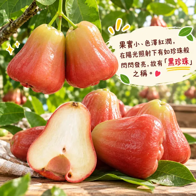 【初品果】屏東枋寮黑珍珠蓮霧禮盒4斤x4盒(小果_年節禮盒_產地直送)