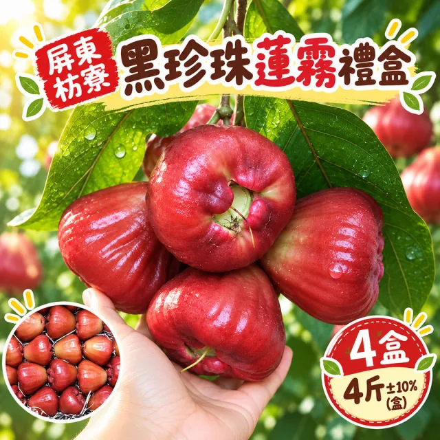 【初品果】屏東枋寮黑珍珠蓮霧禮盒4斤x4盒(小果_年節禮盒_產地直送)