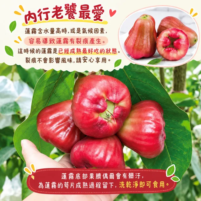 【初品果】屏東枋寮黑珍珠蓮霧禮盒4斤x3盒(小果_年節禮盒_產地直送)