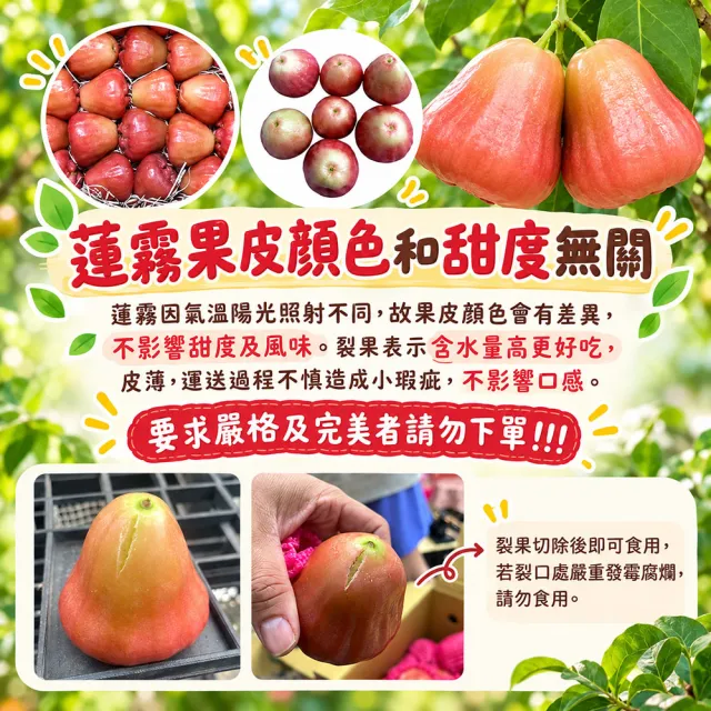 【初品果】屏東枋寮黑珍珠蓮霧禮盒4斤x3盒(小果_年節禮盒_產地直送)