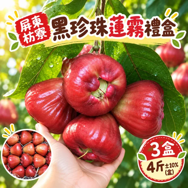 【初品果】屏東枋寮黑珍珠蓮霧禮盒4斤x3盒(小果_年節禮盒_產地直送)