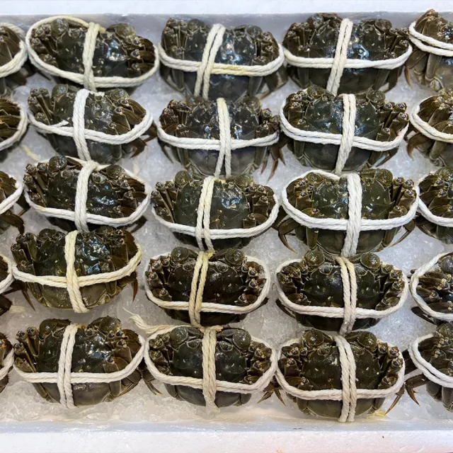 【華得水產】保證活蟹直送嚴 江蘇大閘蟹(6隻_4-4.5兩/隻)