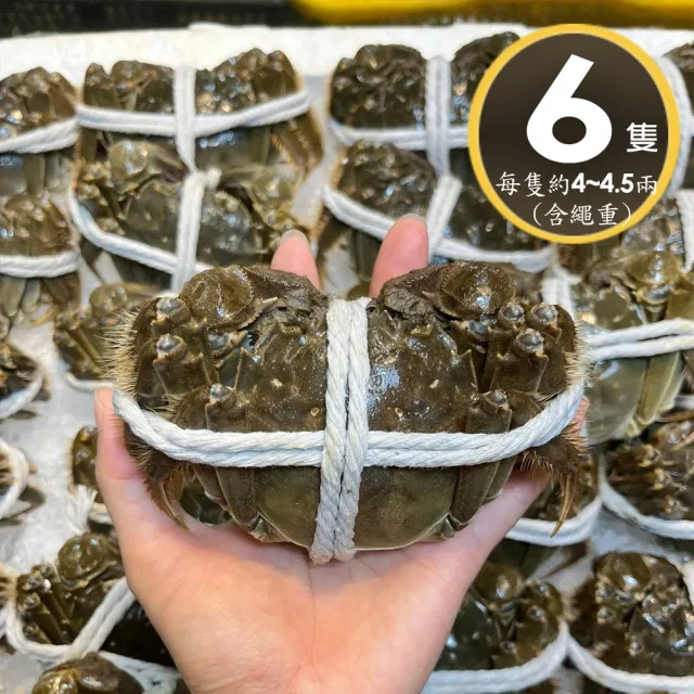 【華得水產】保證活蟹直送嚴 江蘇大閘蟹(6隻_4-4.5兩/隻)