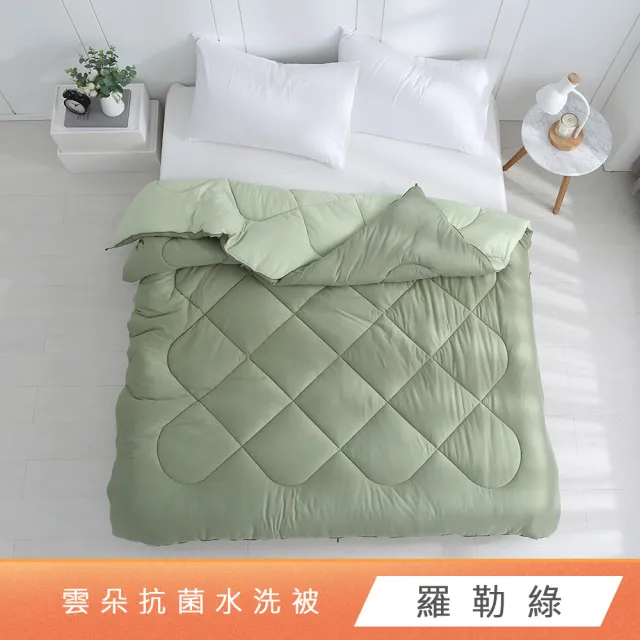 【HongYew 鴻宇】雲朵暖綿抗菌水洗被-多款任選(雙人 水洗被 冬被 棉被 韓國被)