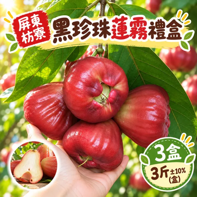 【初品果】屏東枋寮黑珍珠蓮霧禮盒3斤x3盒(季節限定_年節禮盒_產地直送)