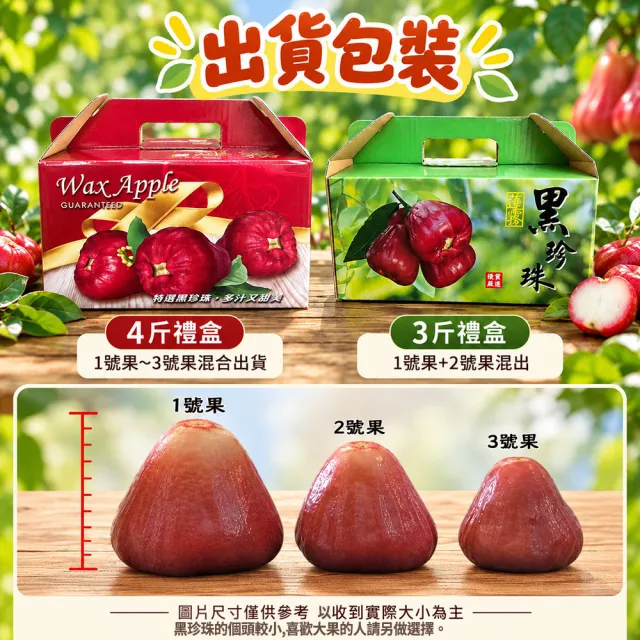 【初品果】屏東枋寮黑珍珠蓮霧禮盒3斤x2盒(季節限定_年節禮盒_產地直送)