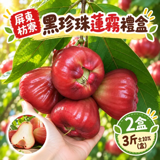 【初品果】屏東枋寮黑珍珠蓮霧禮盒3斤x2盒(季節限定_年節禮盒_產地直送)