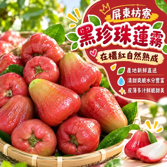 【初品果】屏東枋寮黑珍珠蓮霧禮盒3斤x1盒(季節限定_年節禮盒_產地直送)