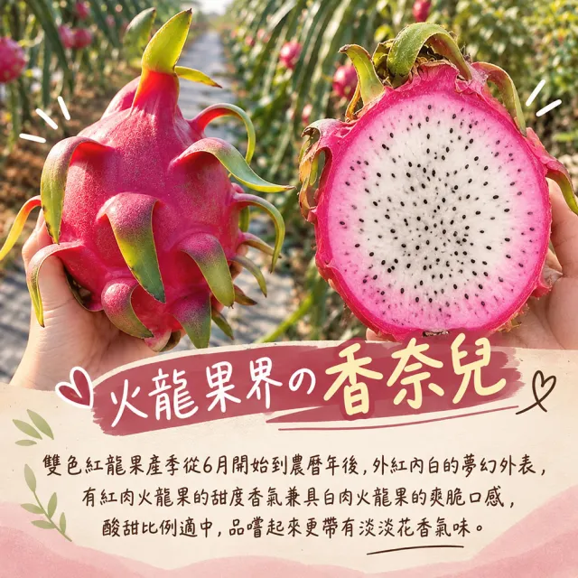 【初品果】南投夢幻雙色火龍果6斤5-7顆x1盒(雙色冰淇淋_季節限定_鮮採直送)