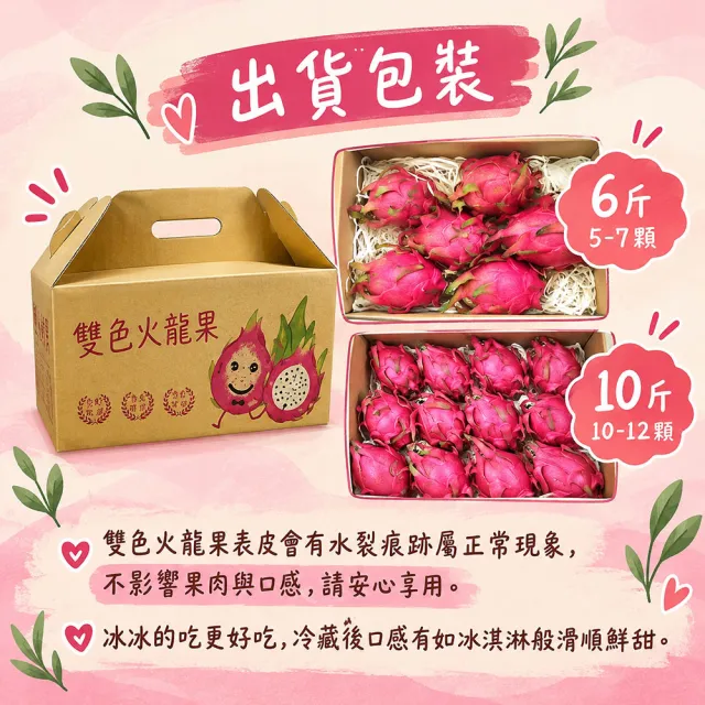 【初品果】南投夢幻雙色火龍果6斤5-7顆x2盒(雙色冰淇淋_季節限定_鮮採直送)