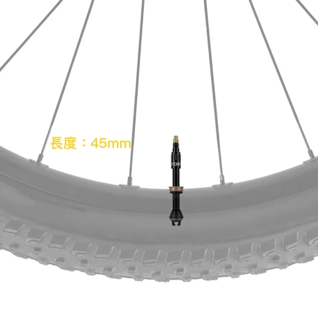 【TOPEAK】無內胎專用 氣嘴 含氣桿(2入) TURBOFLOW VALVE KIT 無內胎專用氣嘴