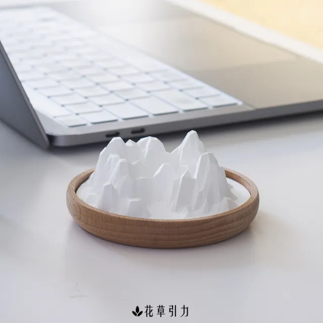 【The Nature of things 自然之事】洛磯山脈-矽藻土原木擴香石(吸濕防潮/除異味/避小人/車用香氛/開運)